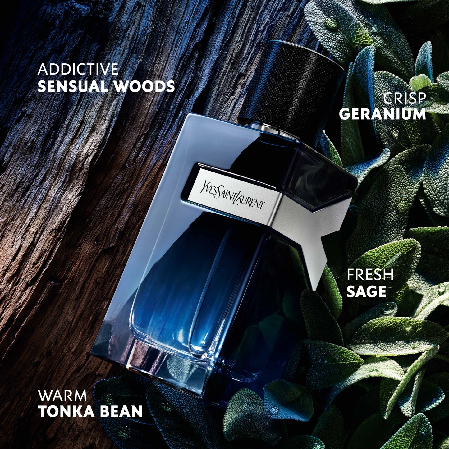 YSL - Yves Saint Laurant Y Eau De Parfum 60ML